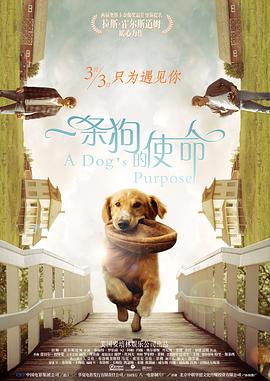 《封神第一部》主创现身昆明 费翔称殷寿很心机 2023-07-26 中国首部国民神话电影《封神第一部》正在热映中，荡气回肠的史诗质感、充满想象力的昆仑仙境、精致的服化道，皆让观众感到惊喜和震撼。