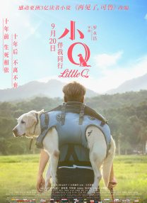 截至发稿，该片的烂番茄新鲜度为83%，30个媒体评论中有25个给出好评；